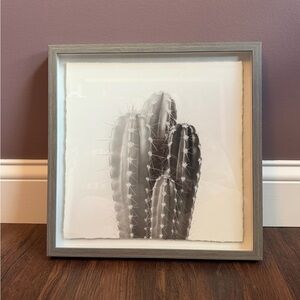 Marmont Hill, Four Cacti Framed Print in Shadowbox